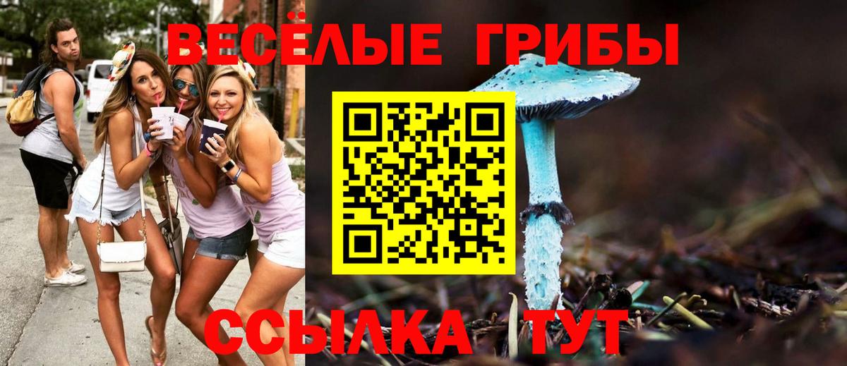 Люберцы  Псилоцибиновые грибы мухоморы  Вход с VPN 