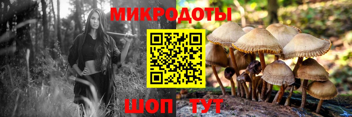 Псилоцибиновые грибы MAGIC MUSHROOMS Люберцы